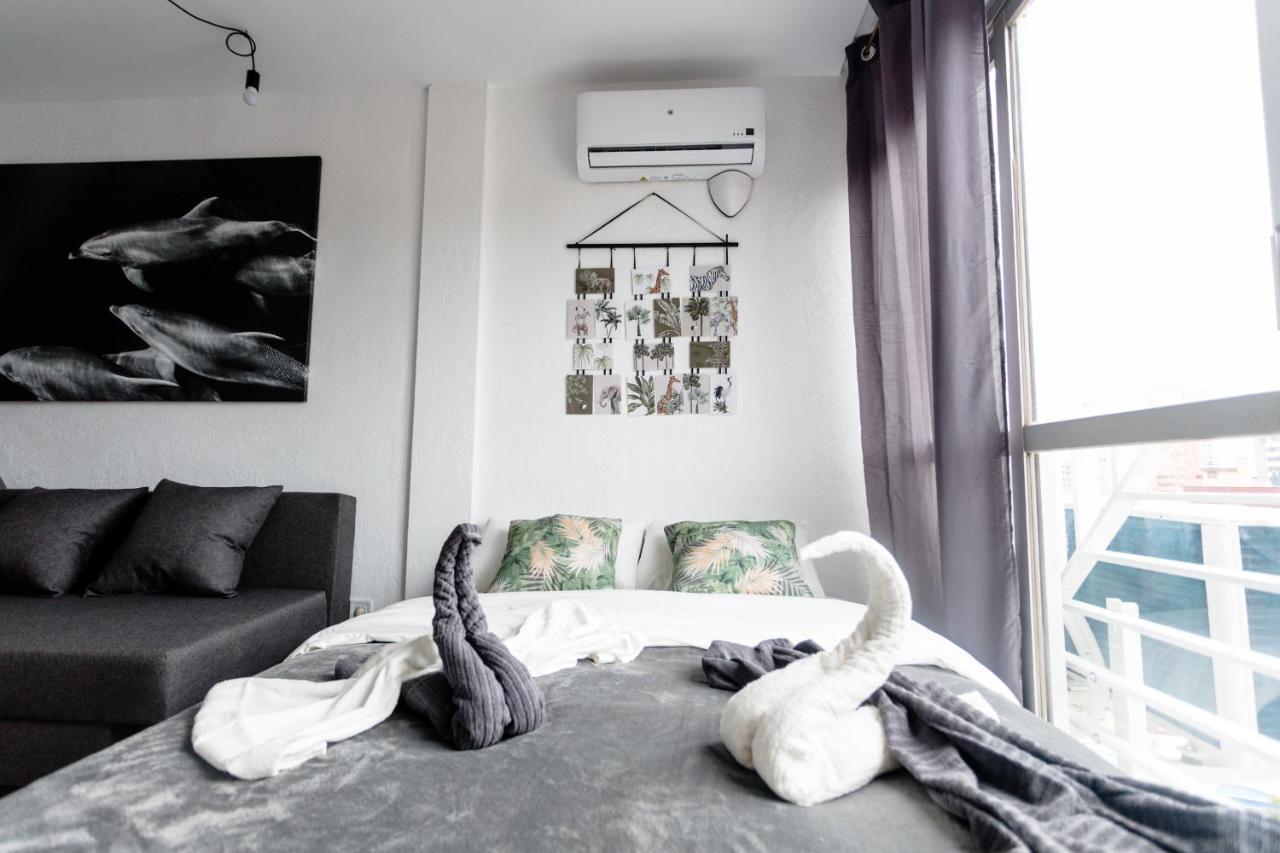 Modern Studio With See And City View เบนิดอร์ม ภายนอก รูปภาพ